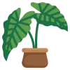 ☘️