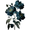 🌷
