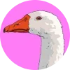 🦆