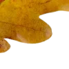 🍂