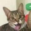 👋