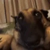 😱
