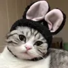 🐰