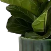 🌿
