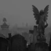 👼
