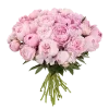 🌸