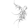 🕸️