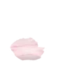 🪷