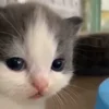 😐