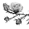 🥀