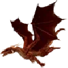 🐲