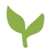 🌱