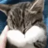 🙈