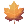 🍁