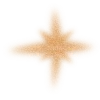 🌟