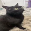 😵