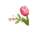 🌹