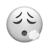 😮‍💨