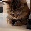 😔