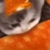 🔥