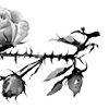 🌹