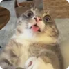 😜