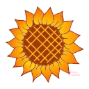 🌻