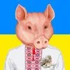 🐽