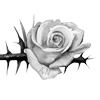 🌹