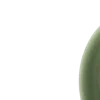 🌿