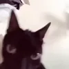 😡