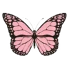 💗