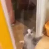 🥰