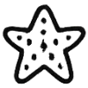 ⭐️