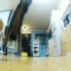 🐱