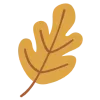 🍂
