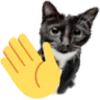 👋