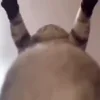 🤨