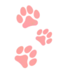 🐾