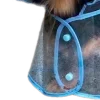 🐶