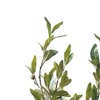 🌿