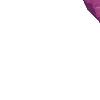 🪷