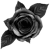 ⬛