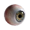 👁