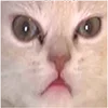 😐