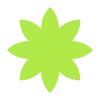 ✳️