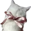 🐈‍⬛