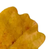 🍂