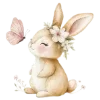 🐰