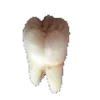 🦷